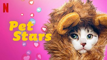 Clique na imagem para uma verso maior

Nome:	         PET-STARS-NETFLIX.jpg
Visualizaes:	1
Tamanho: 	87,8 KB
ID:      	59779