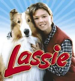 Clique na imagem para uma verso maior

Nome:	         lassie.jpg
Visualizaes:	90
Tamanho: 	16,3 KB
ID:      	11245