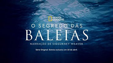 Clique na imagem para uma verso maior

Nome:	         O-Segredo-das-Baleias-Disney-Plus-1024x576-1.jpg
Visualizaes:	2
Tamanho: 	66,9 KB
ID:      	59548