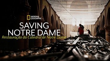 Clique na imagem para uma verso maior

Nome:	         Restaurao.NotreDame (1).jpg
Visualizaes:	2
Tamanho: 	96,6 KB
ID:      	56077