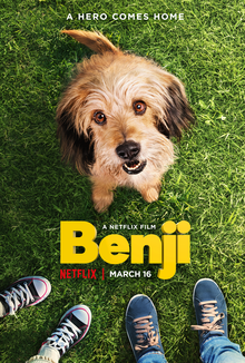 Clique na imagem para uma verso maior

Nome:	         Benji.jpg
Visualizaes:	2
Tamanho: 	19,8 KB
ID:      	37962