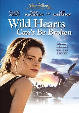 Clique na imagem para uma verso maior

Nome:	         wild hearts can't be broken 1991.jpg
Visualizaes:	37
Tamanho: 	41,2 KB
ID:      	74461